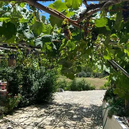 Yard Family Sidari Corfu Holiday home Antipernoi