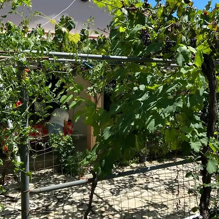 Yard Family Sidari Corfu Holiday home