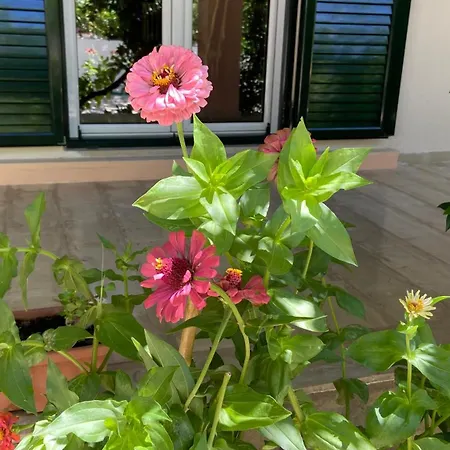 Holiday home Yard Family Sidari Corfu *
