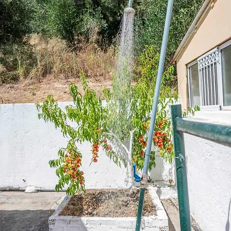 Yard Family Sidari Corfu